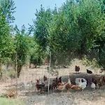 Apollo Retreat *